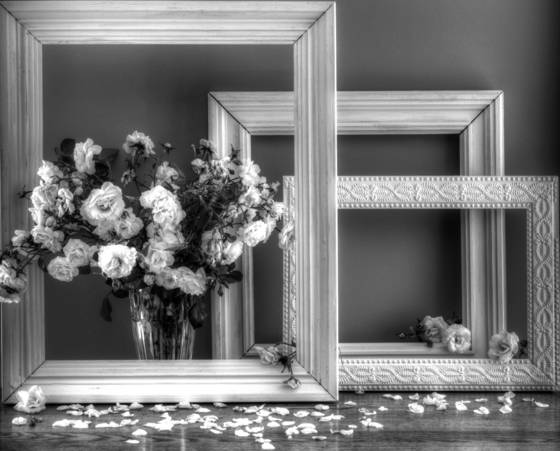 Framed_in_white