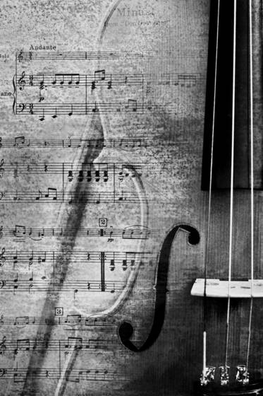 Violin