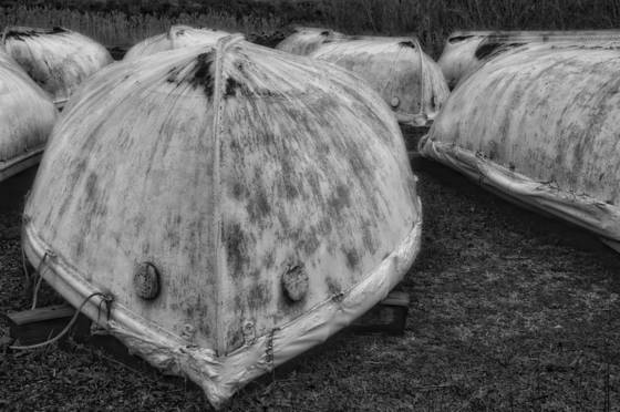 Lifeboats