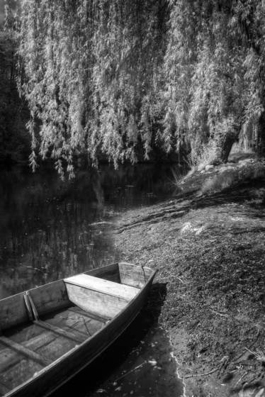 Skiff_and_willow
