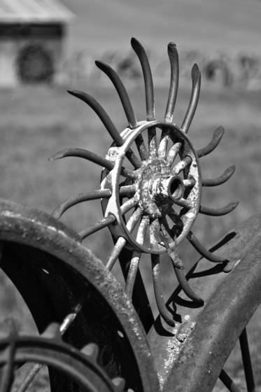 Yard_art