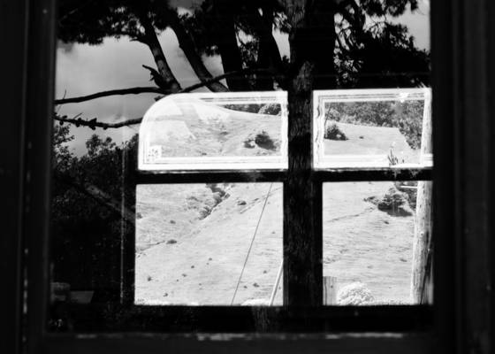 Railcar_reflection