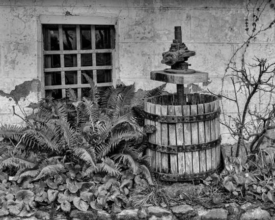 Grape_press