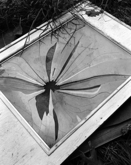 Broken_dreams