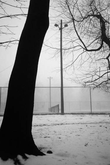 Fence_4