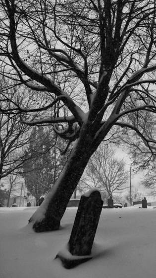 Loyalist_burial_grounds