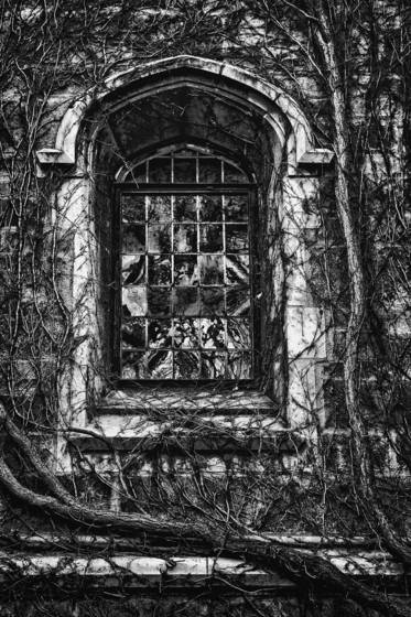 Law_quad_window