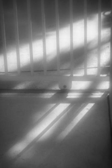 Untitled_1