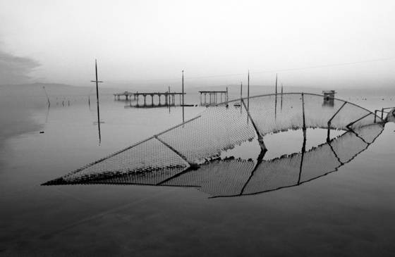 Broken_fence