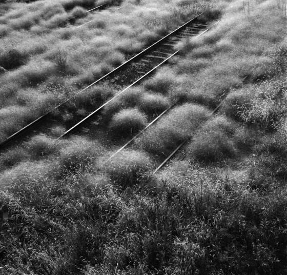 Tracks