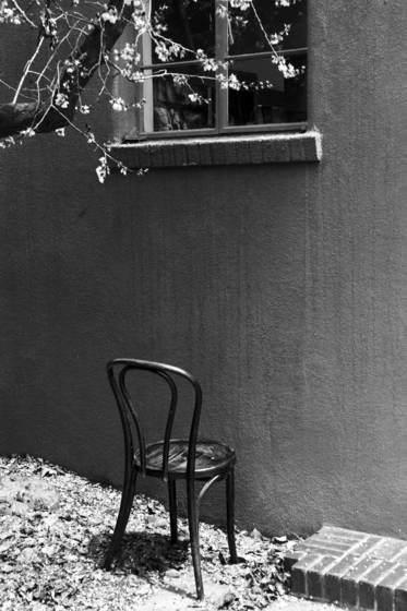 Enjoying_spring