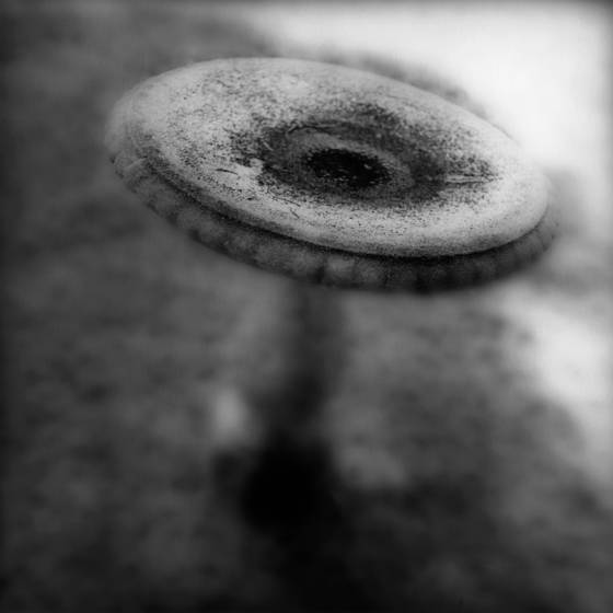 William_faulkner_s_birdbath
