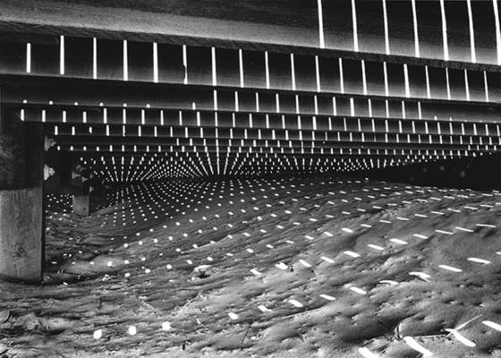 Light_under_the_boardwalk