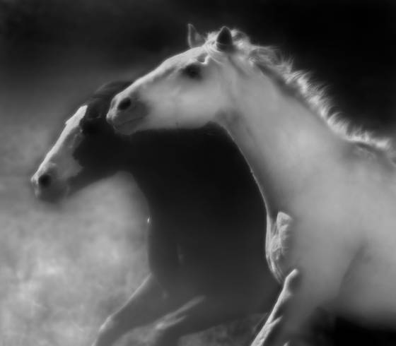 Spiritus_two