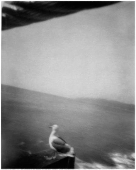 Pinhole_view