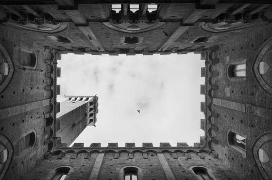 Torre_del_mangia