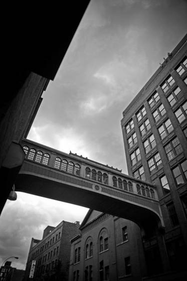 Untitled_5