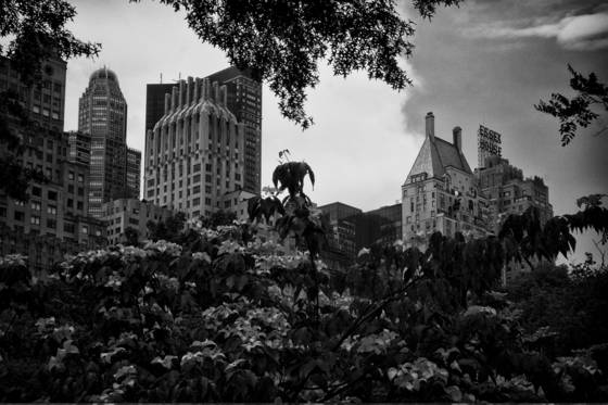 Skyline_central_park