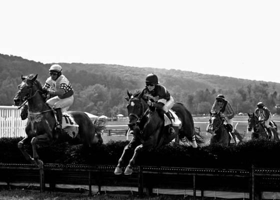 Steeplechase