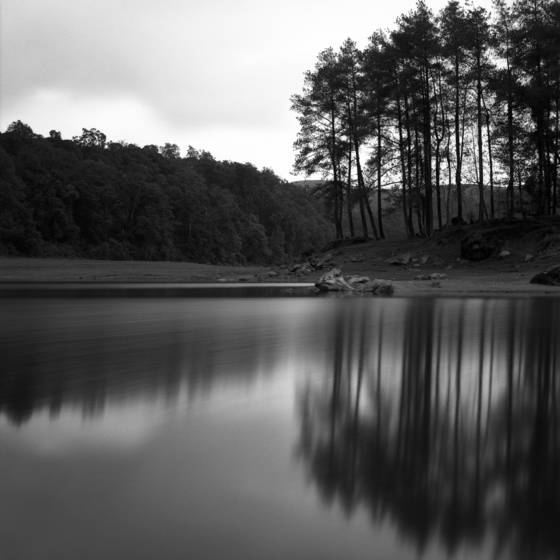 Reflection_no__2