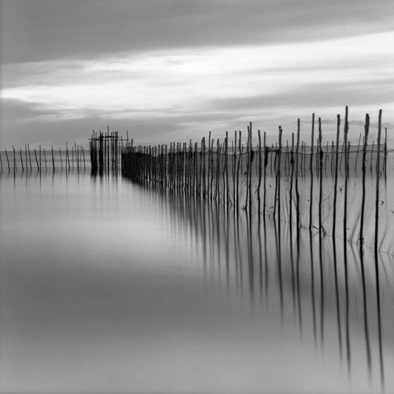 Reflection_no__3