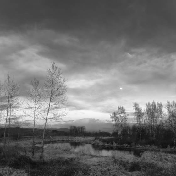 Untitled_1