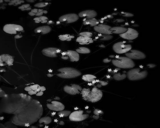 Constellation