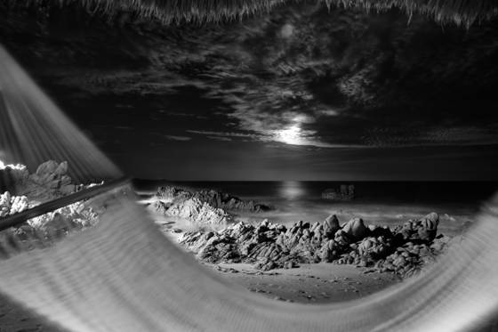 Under_the_harves_moon