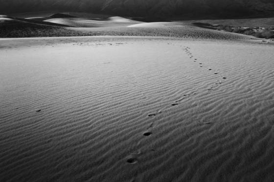 Lonely_footprints