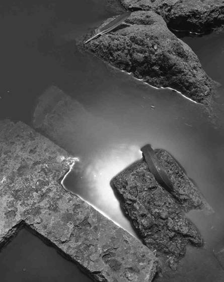 Rocks