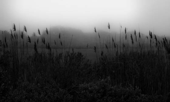 Morning_mist