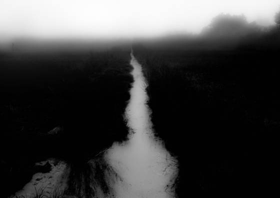 Silent_spring