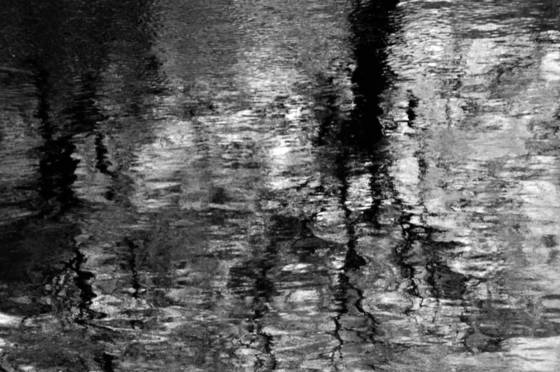 Ghosts_in_the_water