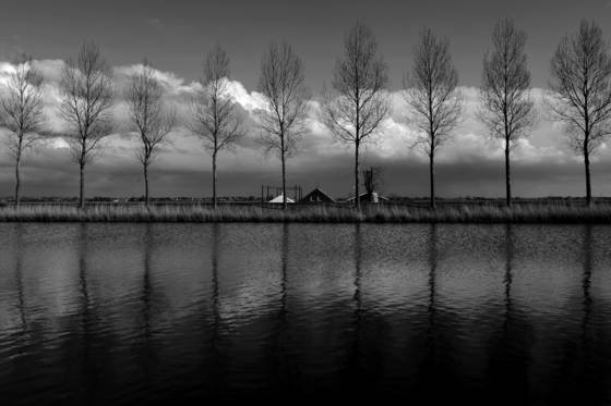 Living_behind_dykes