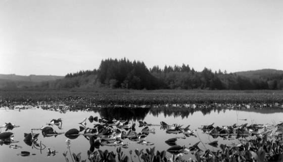 Untitled_1