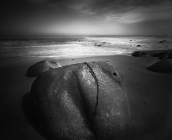 Emergence