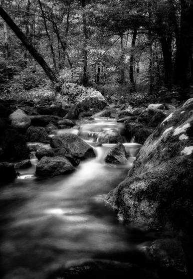 Stream