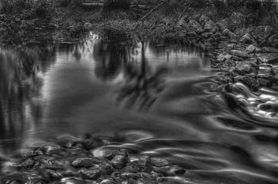 Reflection_in_a_stream