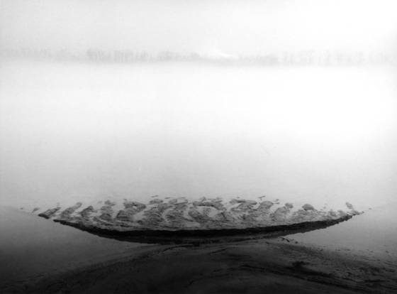 On_the_batture_mud_flat