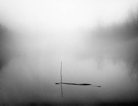 On_the_batture_three_sticks
