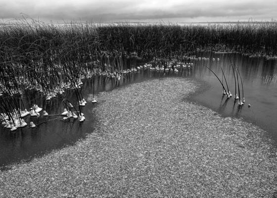 Ice_forming