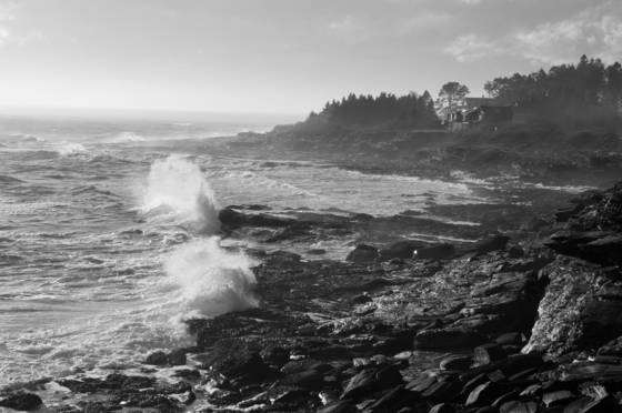 Seal_cove