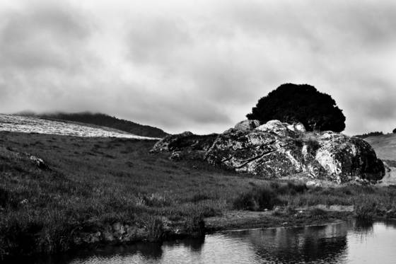 The_rock_by_the_pond