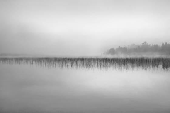 Fog_at_dawn