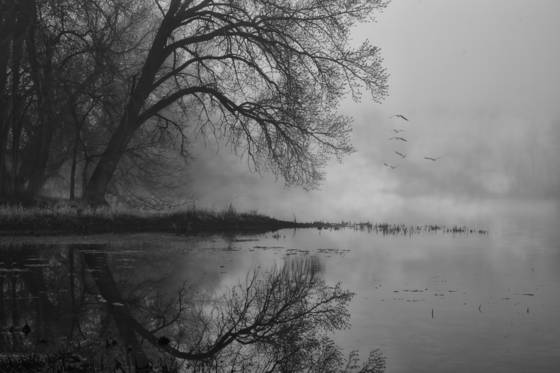 Foggy_landing