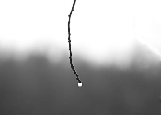 Last_drop