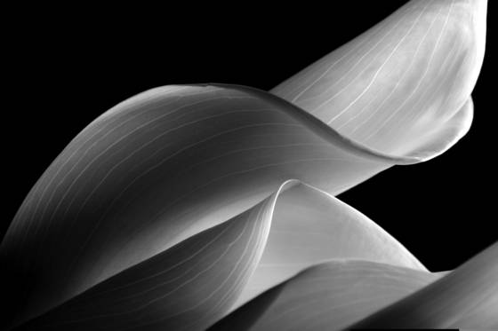 Inner_glow