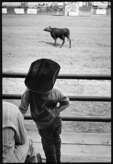 Little_cowboy