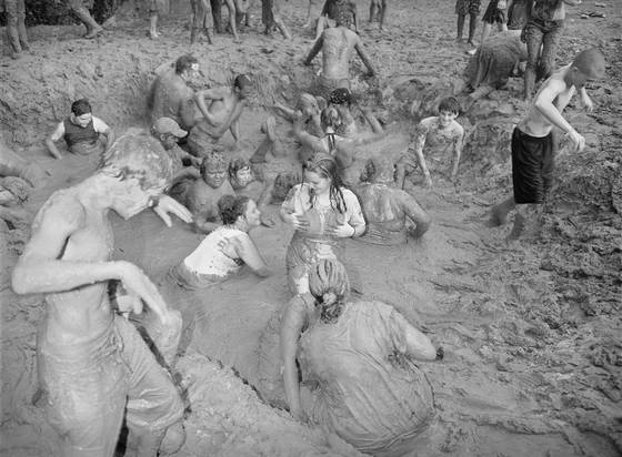Wildebeest_hands