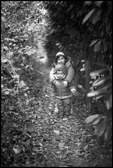 Elfs_in_the_wood